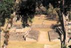 Copan, Honduras, the last Mayan site we went to
