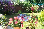Oli and Simon in the garden - 15th July