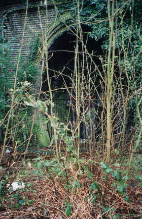 wpe6.jpg (32648 bytes)