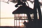 Crooked Tree, Belize