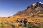 torres_del_paine_np_day2_view2.jpg