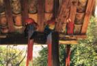 Copan, Honduras, the last Mayan site we went to