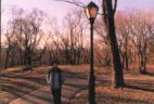 Central Park, New York